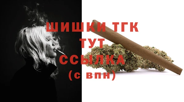 гашик Белоозёрский