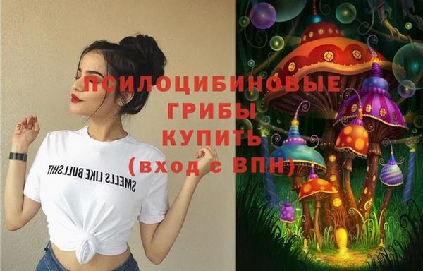 a pvp Белокуриха