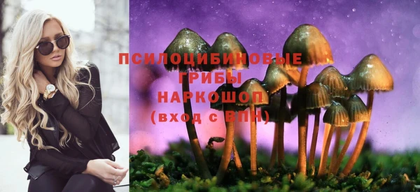 гашик Белоозёрский