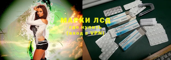 a pvp Белокуриха