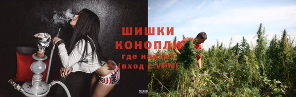 гашик Белоозёрский