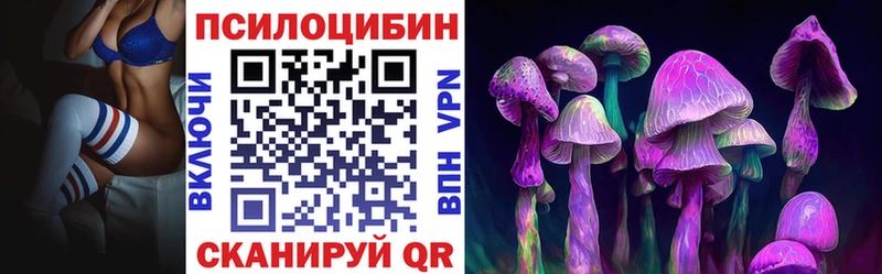 Псилоцибиновые грибы мицелий  Буйнакск 