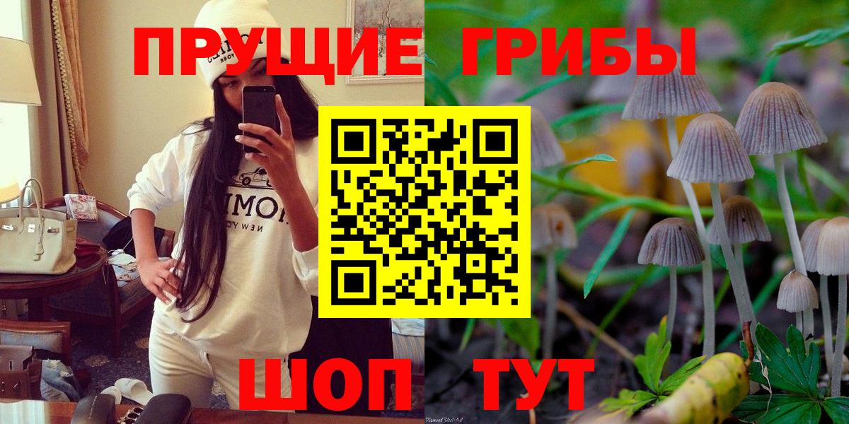 Псилоцибиновые грибы прущие грибы  Вход с VPN  Буйнакск 